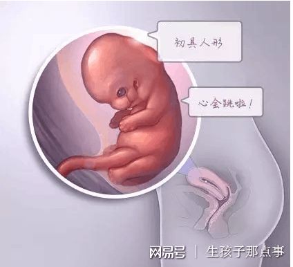 IVF实验室